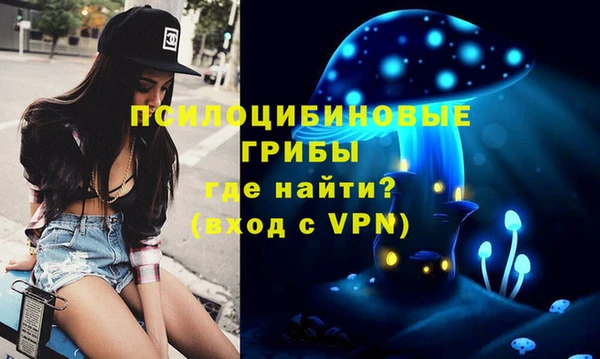 тгк Бронницы