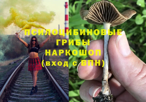 тгк Бронницы
